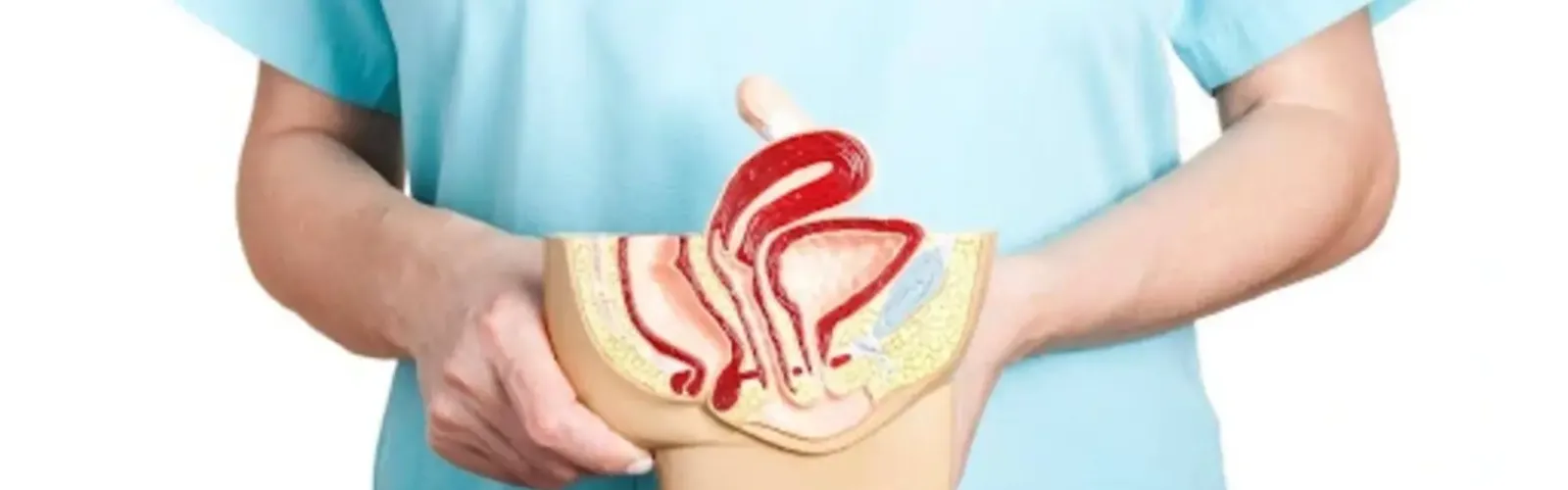 understanding_reproductive_health